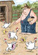 à la ferme